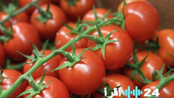 تموين تقدم الطماطم للمواطنين بأسعار مخفضة عبر سيارات متنقلة بسعر 21.5 جنيه للمستهلكين