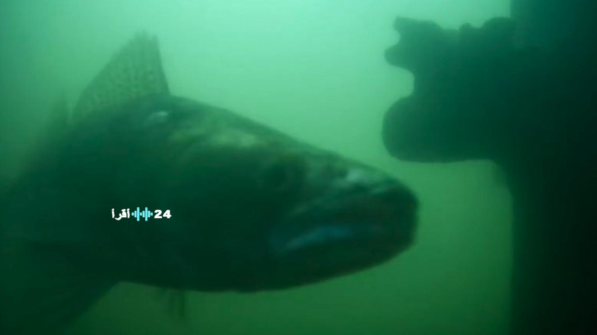 حاسوب محمول مناسب للاستخدام اليومي بأسعار منافسة وأداء متميز في السوق