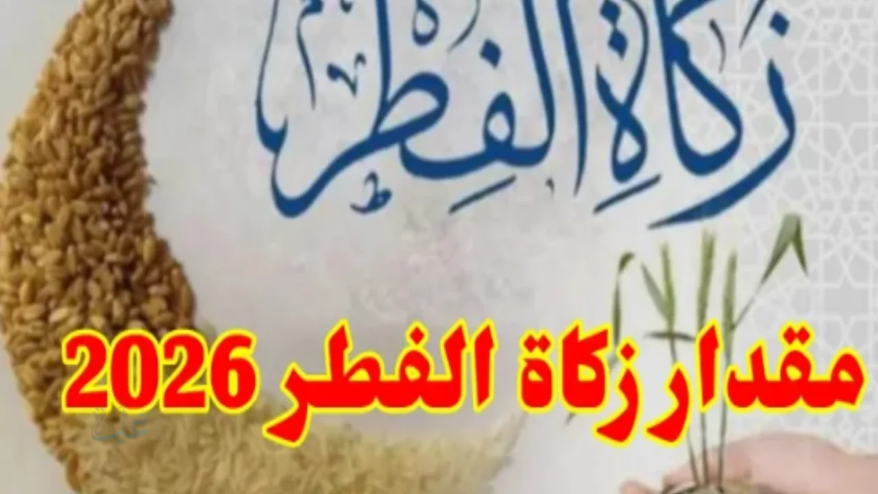 خطوات دفع زكاة الفطر الإلكتروني لعام 2026 عبر المنصات الرسمية بشكل سهل وموثوق
