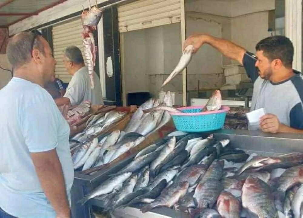 سعر السمك البلطي والسردين في الأسواق اليوم الخميس 5 مارس 2026