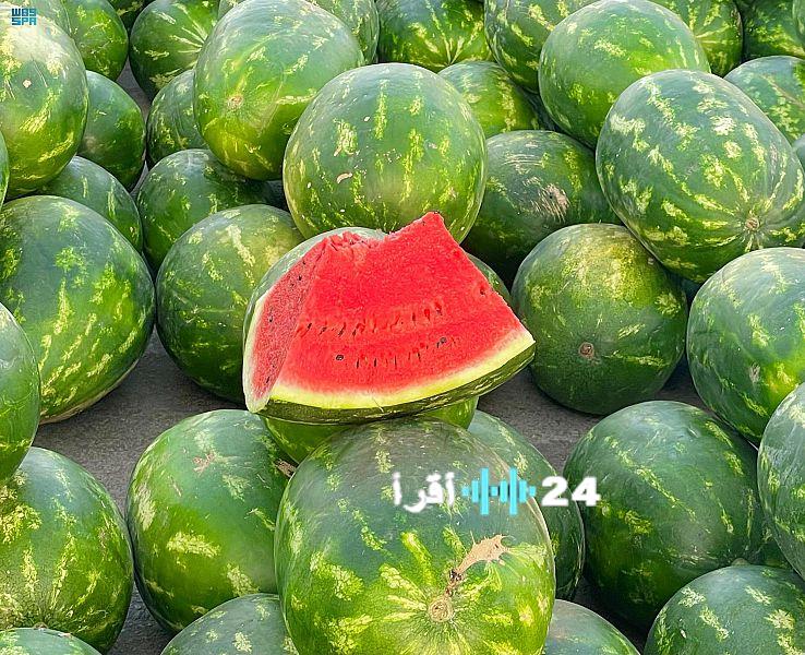 الحبحب في جازان.. إنتاج وفير يزخر بالأسواق ويزيّن