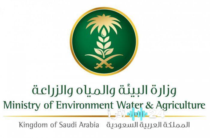 “المدينة المنورة” تطلق مبادرة لاستعداد الأسواق والمسالخ خلال عيد الفطر المبارك