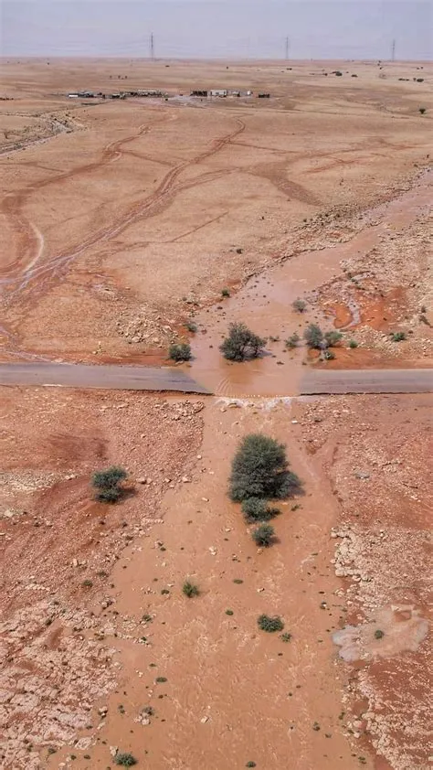 عدسة راجس الخضاري تسجل صورة بردية جنوب الغريف بين تربة والخرمة