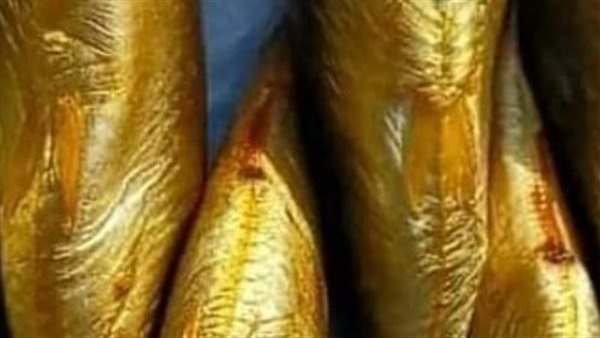 كيفية التمييز بين الرنجة والفسيخ السليم والفاسد قبل الشراء