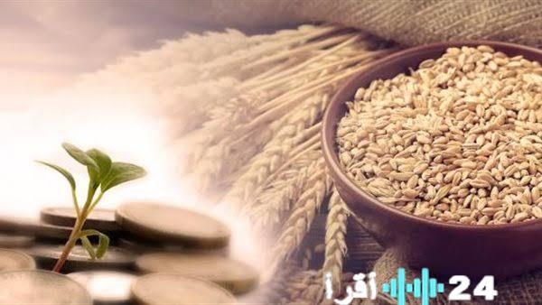 كيفية حساب زكاة الفطر بشكل دقيق وفقًا لدار الإفتاء خطوة بخطوة