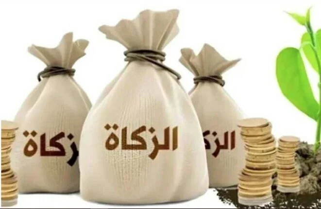 كيفية حساب زكاة الفطر في مصر لعام 2026 الحد الأدنى للفرد والخطوات التفصيلية