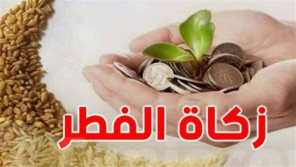 مفتي الجمهورية يحدد قيمة زكاة الفطر لهذا العام بـ 35 جنيها للفرد