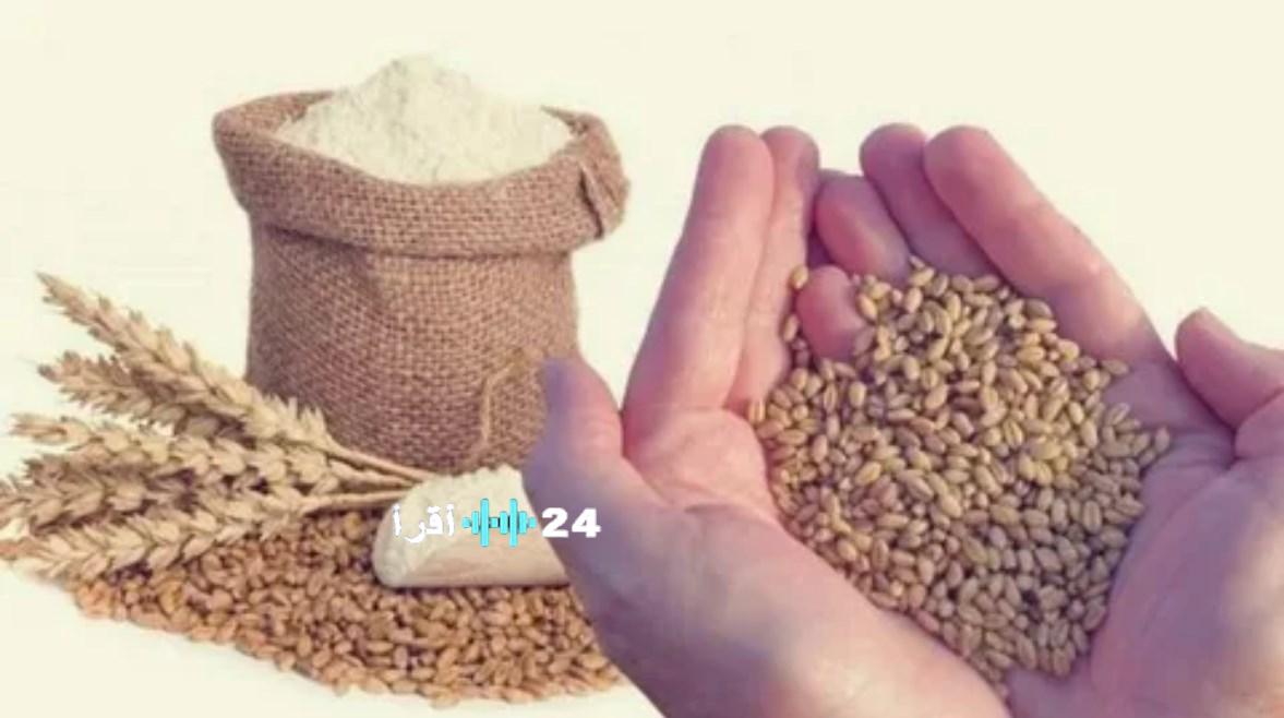 موعد إخراج زكاة الفطر في 2026 وأهم الأوقات الشرعية قبل عيد الفطر