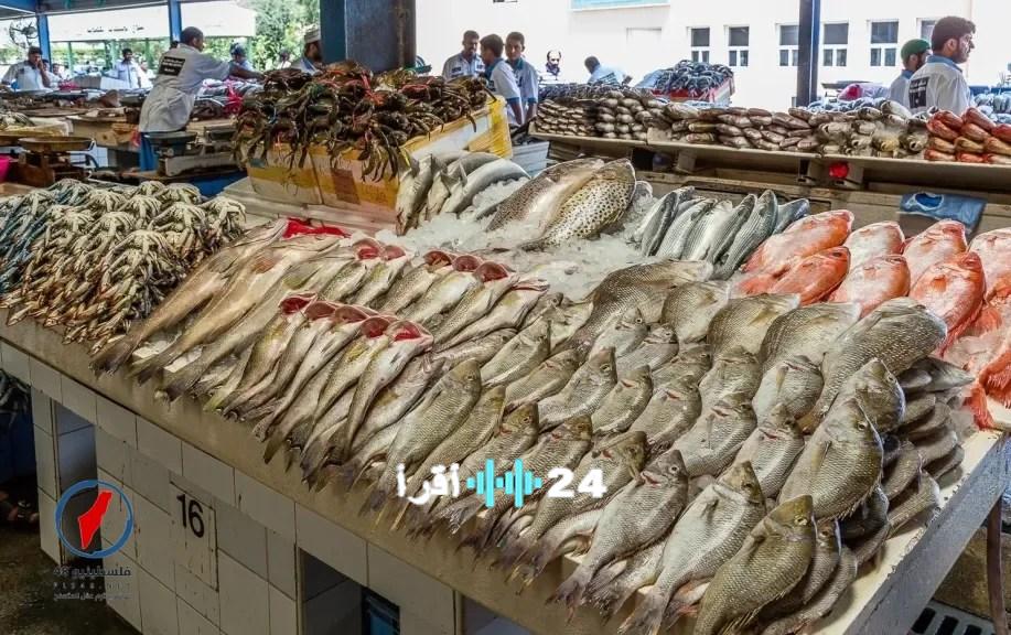 شعبة الأسماك المصرية توضح أن ارتفاع الأسعار بنسبة 30% ناتج عن زيادة أسعار الوقود