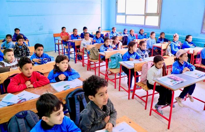 خبراء التعليم يكشفون عن خطة محفزة لتهيئة طلاب النقل لامتحانات أبريل ونهاية العام 2026 خلال أسبوعين