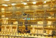 صدمة تهز سوق الذهب في مصر اليوم تحركات مفاجئة لسعر عيار 21 تربك التجار