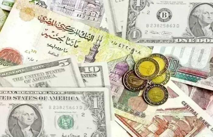 أسعار العملات الأجنبية اليوم الثلاثاء 26 مايو 2026.. آخر تحديث بالبنوك